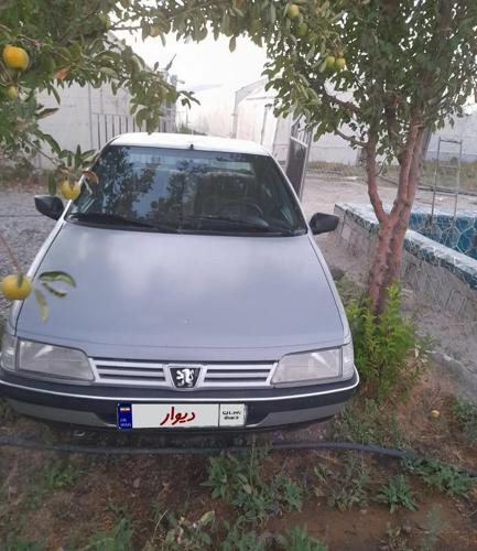 پژو 405 GLX - دوگانه سوز CNG، مدل ۱۳۸۴