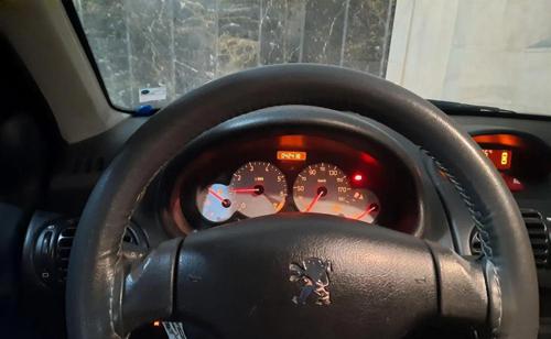 پژو 206 SD V8، مدل ۱۳۹۹