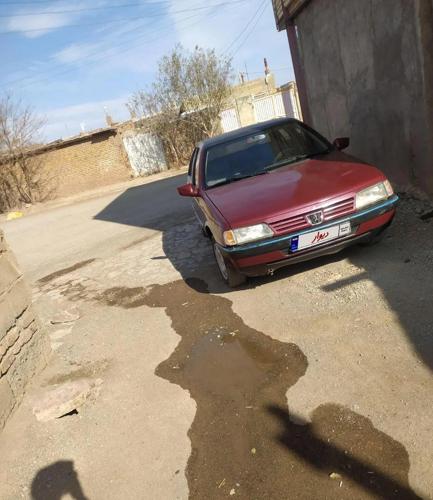 پژو 405 GLX - دوگانه سوز CNG، مدل ۱۳۸۰